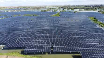 業(yè)務(wù)動態(tài)